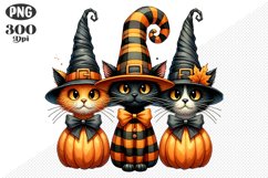 Halloween Cat And Pumpkin Sublimation - Clipart PNG Design Product Image 1