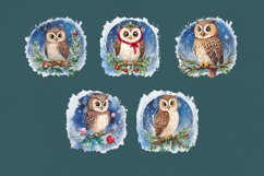 Watercolor winter Owls cliparts. 10 PNG sublimation Product Image 2