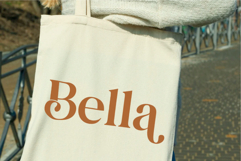 Lonely Hearts A Serif Font with Swashes Product Image 8