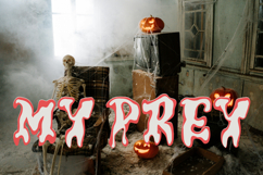 Birdsun Melted - A Playful Font Duo Product Image 3