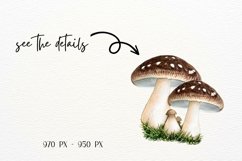 Vintage Watercolor Mushrooms, Junk Journal Mushroom Product Image 4
