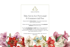 Retro Vintage Amaryllis Clipart Product Image 4