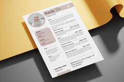 25 Feminine Resume CV - Canva Product Image 4