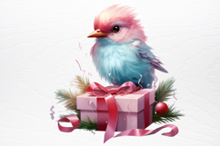 Chirstmas Birds Clipart PNG Product Image 4