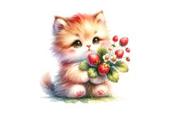 Cute Kitten Product Image 4