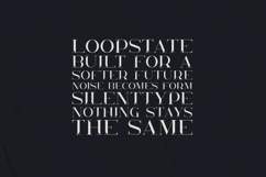 KAVO Elegant Display Font Product Image 4