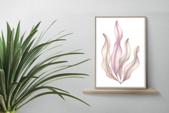 Wavy Ocean Seaweed Pastel Plant Aquatic Flora PNG Summer Product Image 2