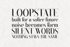 Black Goose Rounded Serif Font Product Image 4