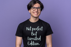 Ladybugs Product Image 4