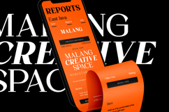 Quinela - Luxury Serif Family with 6 Weights Product Image 4