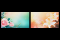 Soft Focus Floral Grain Texture Backgrounds Product Image 4