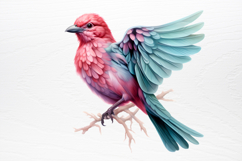 Chirstmas Birds Clipart PNG Product Image 4