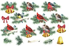 Watercolor holiday decor clipart Red cardinals Christmas png Product Image 2