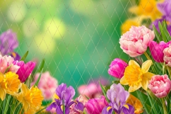 Tulips Background, Floral Background Designs Product Image 4