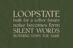 Creators Type Organic Editorial Serif Font Product Image 4