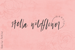 Globetrotter Script Product Image 4