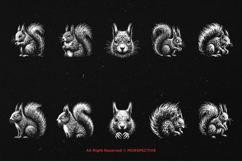 10 Bundle Dark Art Squirrel Animal Horror Angry Skull Tattoo Product Image 6