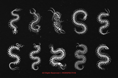 10 Bundle Dark Art Centipede Skull Animal Scary Horror Product Image 6