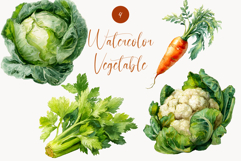 Watercolor Vegetable Clipart Cabbage, Carrot, Celery Product Image 1