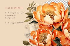10 Orange Peonies Clipart PNG Product Image 4