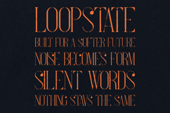 Tacenda Organic Serif Modern Decorative Display Product Image 4