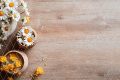 Chamomile Background, Roses Background Designs Product Image 4