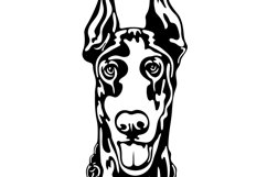 Doberman dog/Dog Svg/Png/Jpg/Ai/Vector purebred breed/Pet Product Image 5