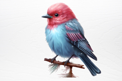 Chirstmas Birds Clipart PNG Product Image 4