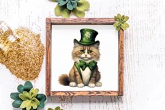 St Patricks Day Cats Clipar, Bundle, St Patricks Day Cats Product Image 4