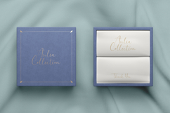 Bionetha - Elegant Handwritten Script Product Image 4