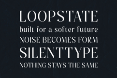 Pure Motif Elegant Serif Text Font Product Image 4