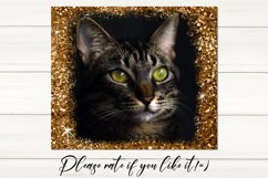 Cats skinny tumbler design | Sublimation design bundle, JPG Product Image 4