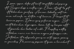 Ningetan Handwritten Font Product Image 4