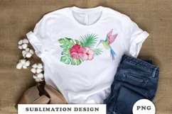 Watercolor Hummingbird Sublimation Downloads Product Image 4