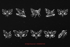 10 Bundle Dark Art Moth Skull Wings Insect Animal Horror Product Image 6
