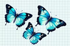 Butterfly clipart, Butterfly PNG, Butterfly painting Product Image 5