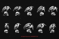 10 Bundle Dark Art Heron Bird Skull Horror Tattoo Clipart Product Image 6