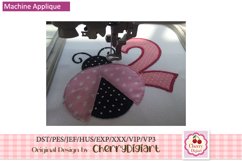 Ladybug applique Numbers design machine embroidery 1481B Product Image 5