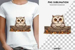 Peeking owl halloween png design for T-shirts Product Image 4