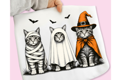 Trending Halloween PNG, Spooky Season PNG, Halloween Cat PNG Product Image 1