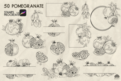 Pomegranate Procreate stamp brushes Product Image 4