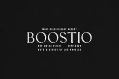 Vellumo &amp; Nexline Modern Font Duo Product Image 4