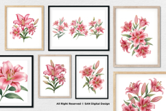 15 Bundle Watercolor Red Lily Flower Botanical Aesthetic Product Image 4