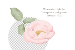Watercolor Romance Floral Clipart Product Image 4