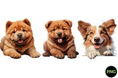 Breeds Of Peeking Dogs Collection Product Image 1