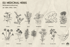 Medicinal herbs Svg Png Eps Product Image 4