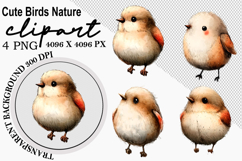 Whimsical Cute birds nature clipart Watercolor png Product Image 1