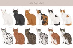 Arabian Mau Cat clipart Product Image 3