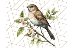 Vintage Song Bird Clipart PNG, Botanical Bird Art Clip Art Product Image 4