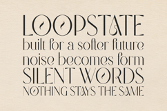 Modern Heritage Elegant Serif Display Font Product Image 4